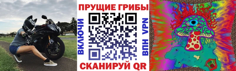 площадка официальный сайт  Джанкой  Галлюциногенные грибы ЛСД 